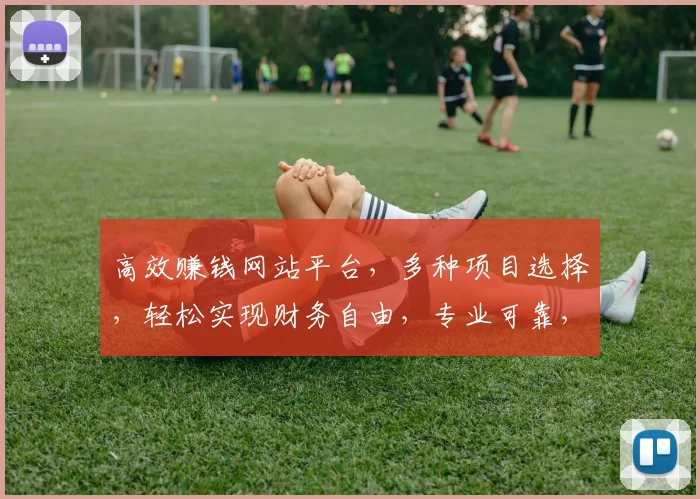 高效赚钱网站平台，多种项目选择，轻松实现财务自由，专业可靠，三重保障，值得一试